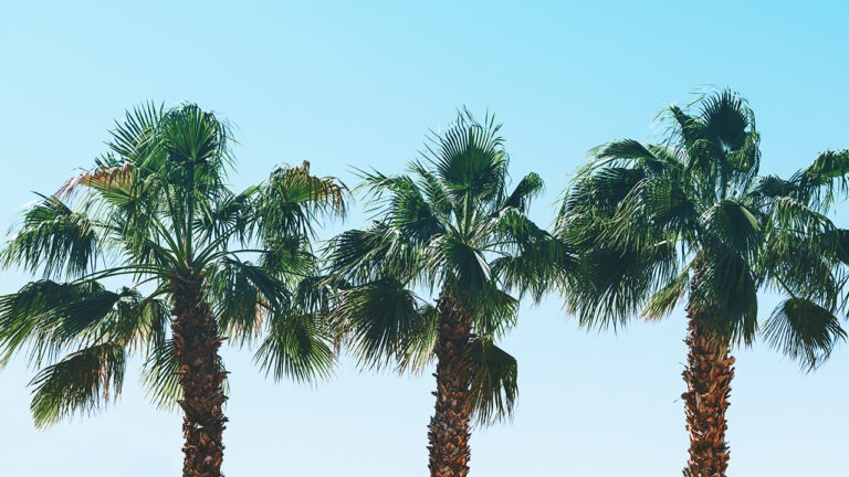 Long Beach, California, home of Augmented World Expo