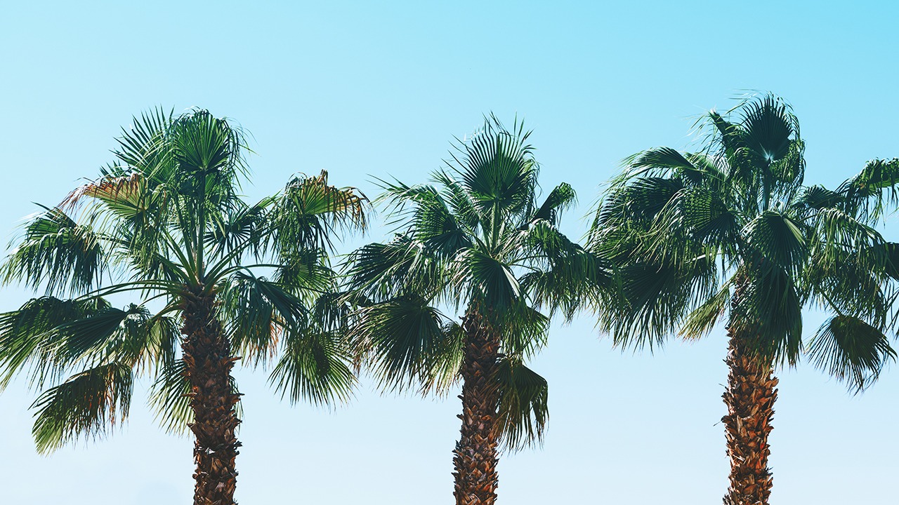 Long Beach, California, home of Augmented World Expo