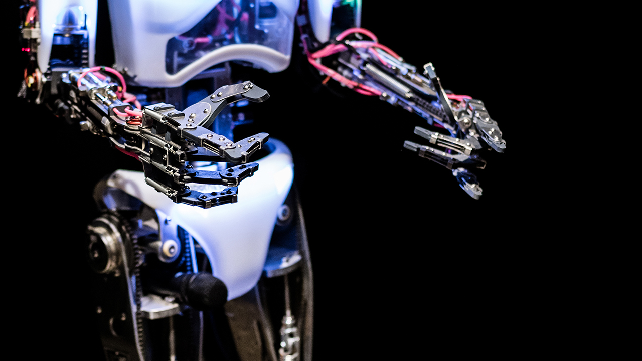 Humanoid robot