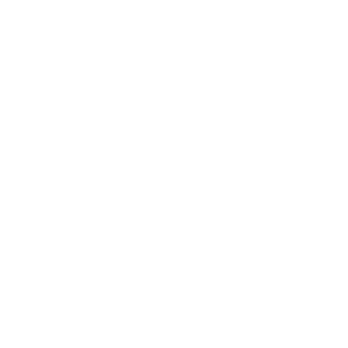 Policy Brief